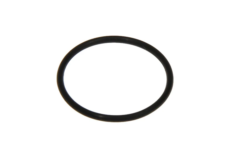 RICAMBIO GUARNIZIONE INNESTO SERBATOIO O-RING (DI=24,8) PER MACCHINA DA CAFFE' DE'LONGHI ICONA SCULTURA