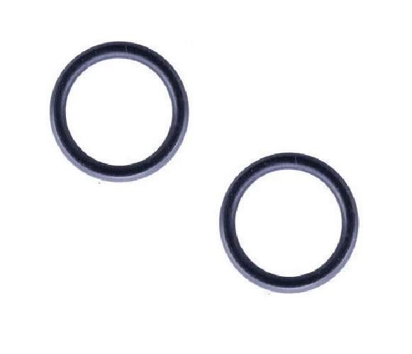2 PEZZI GUARNIZIONE O-RING PRESSA CIALDA 44,45X3,53 PER MACCHINA CAFFE' AROMA